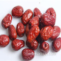 dried jujube good tea